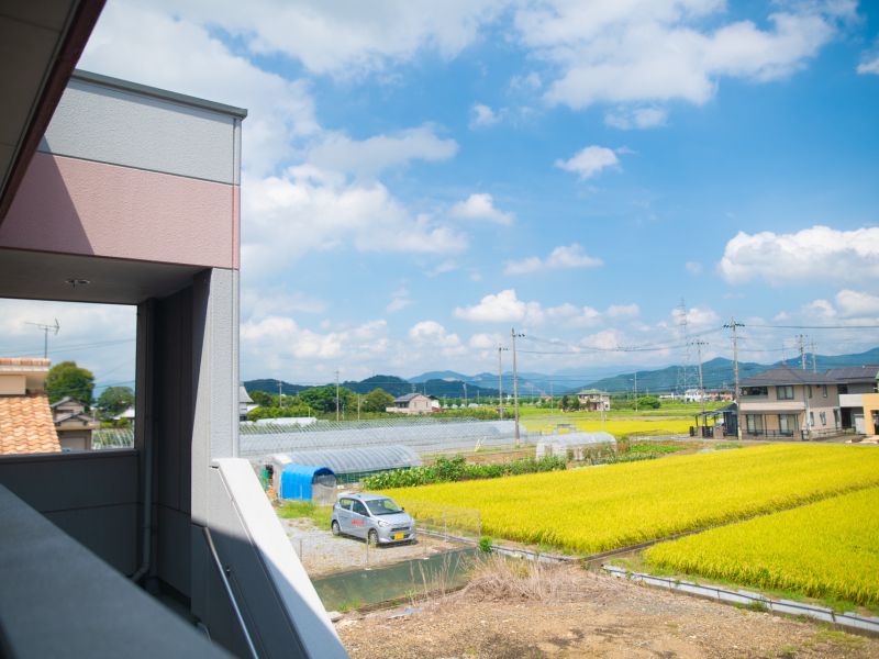 sakura outside landscape 20230822