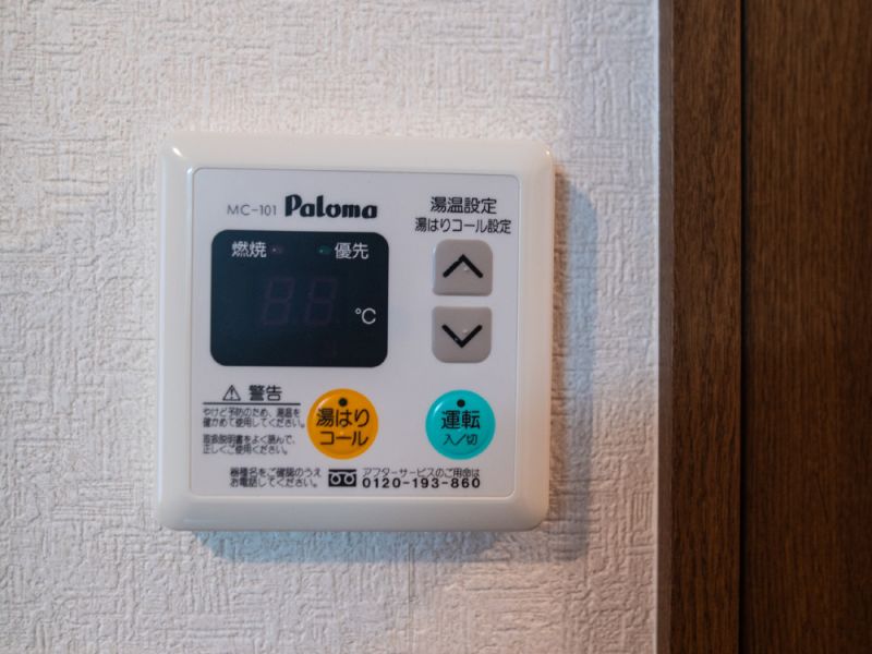 sakura 203 portrait 20230822